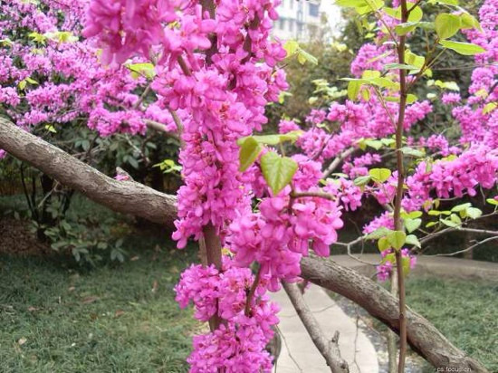 晓园公园-长沙市必去景点