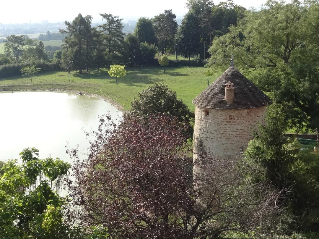 Chateau de Salornay景点图片