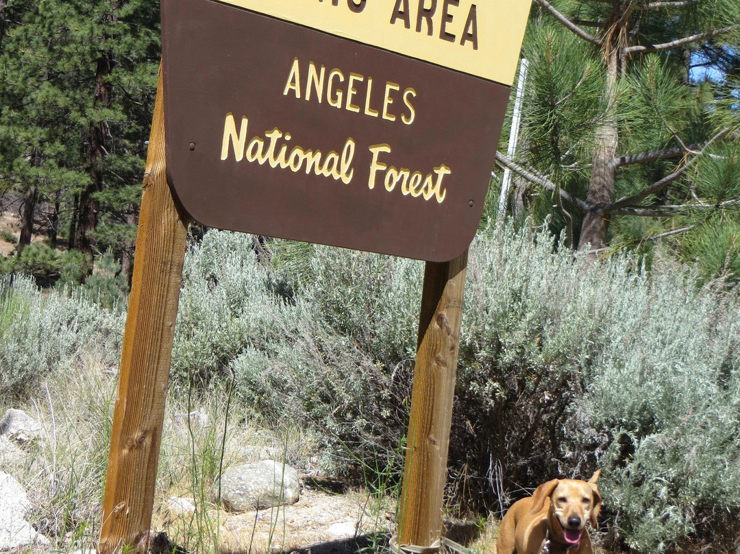Chilao Recreation Area-拉肯纳达石岭必去景点