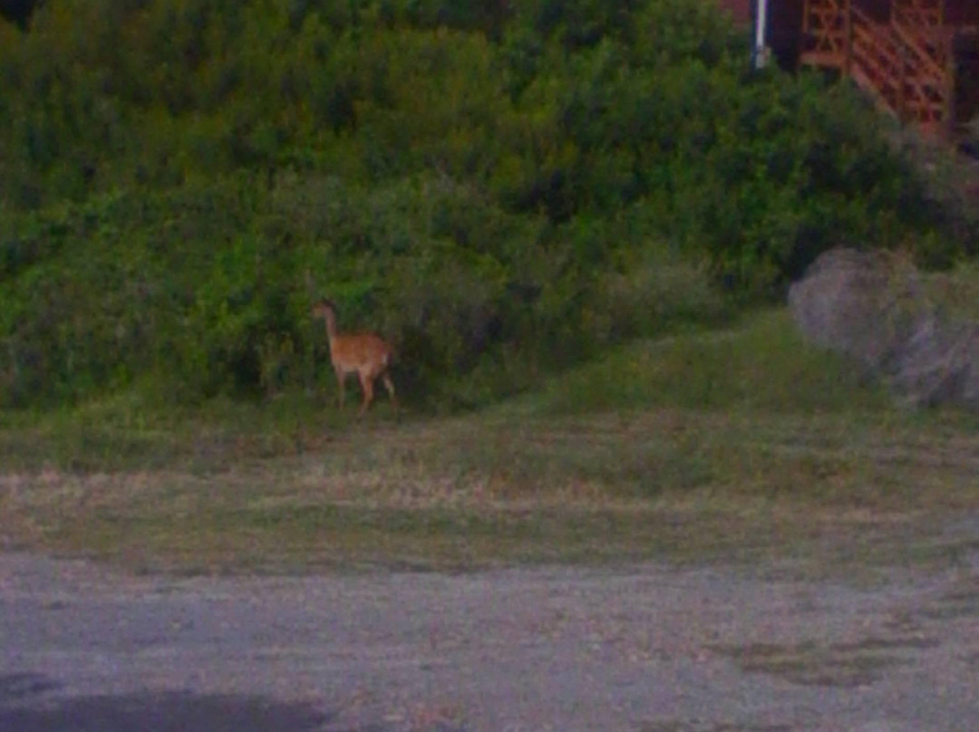 Paradise Beach-杰佛瑞湾必去景点