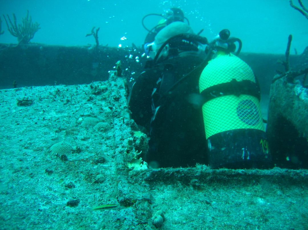 Coco Diving Center景点图片