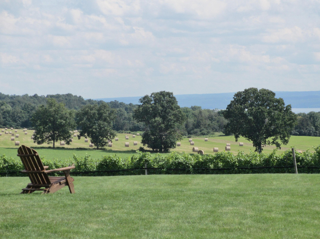 Water to Wine Day Tours-Ovid必去景点