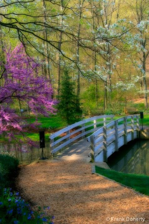 Edith J. Carrier Arboretum-哈里森堡必去景点