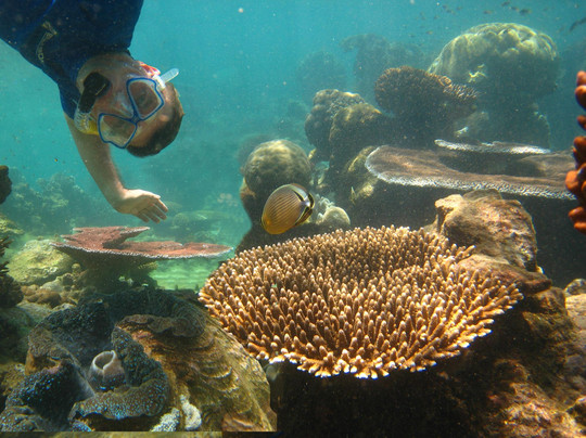 Frankland Islands Reef Cruises-凯恩斯必去景点