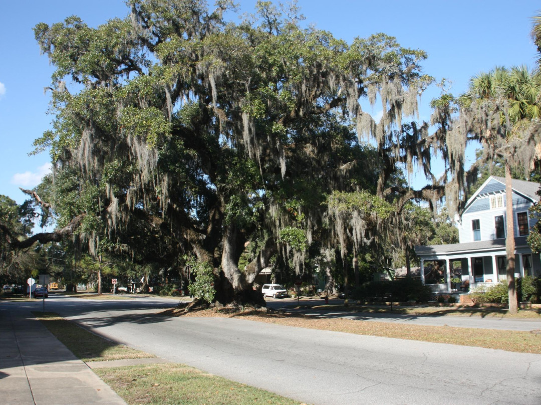 Lover's Oak-不伦瑞克必去景点