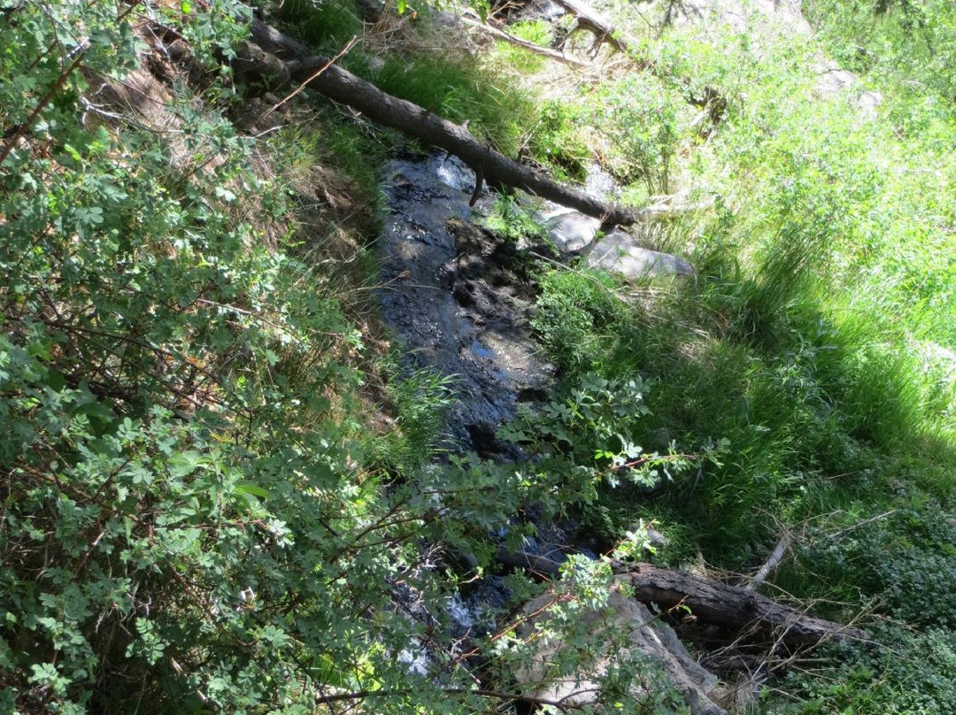 McCauley Warm Springs-Jemez Springs必去景点