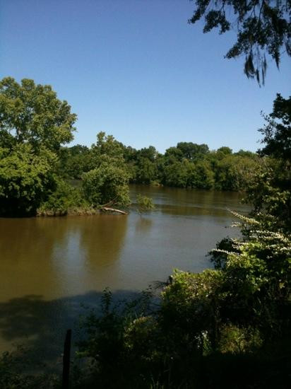 Old Cahawba Archaeological Park景点图片