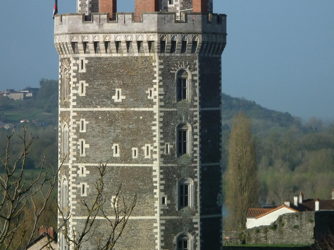 Château Médiéval d'Oudon景点图片