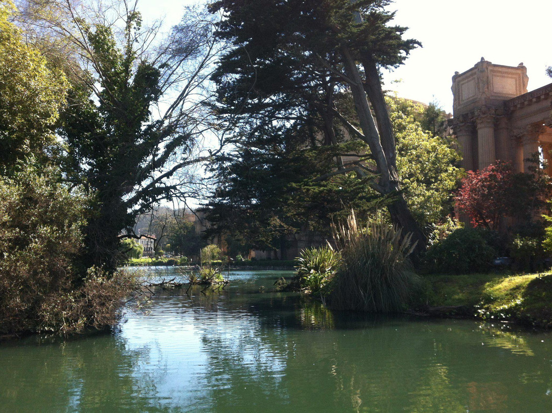 艺术宫-旧金山必去景点