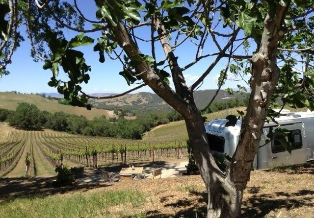 Starr Ranch Vineyard & Winery景点图片
