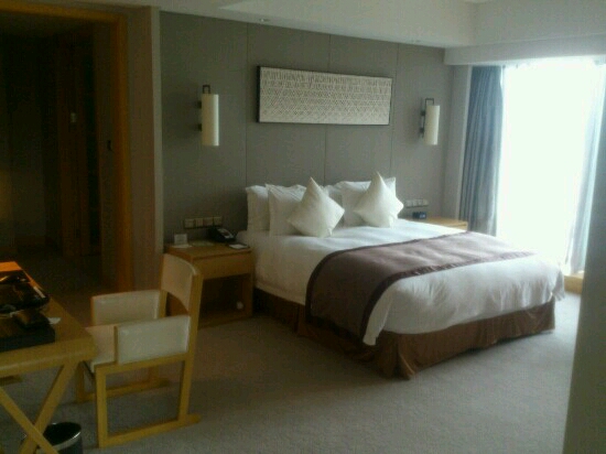 宁波逸东豪生大酒店-客卧