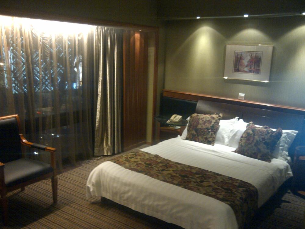 南京中心大酒店-客卧