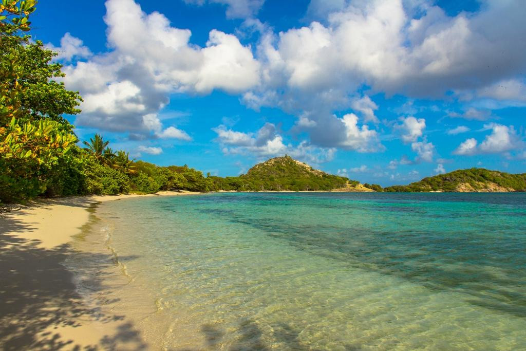 Carriacou Island酒店住宿-Seaclusion Suites