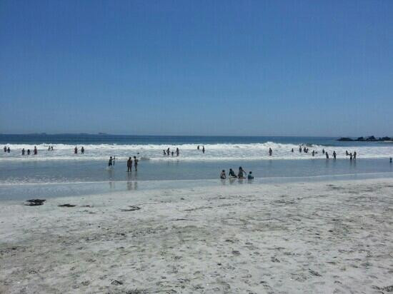 Playa Totoralillo-Coquimbo必去景点