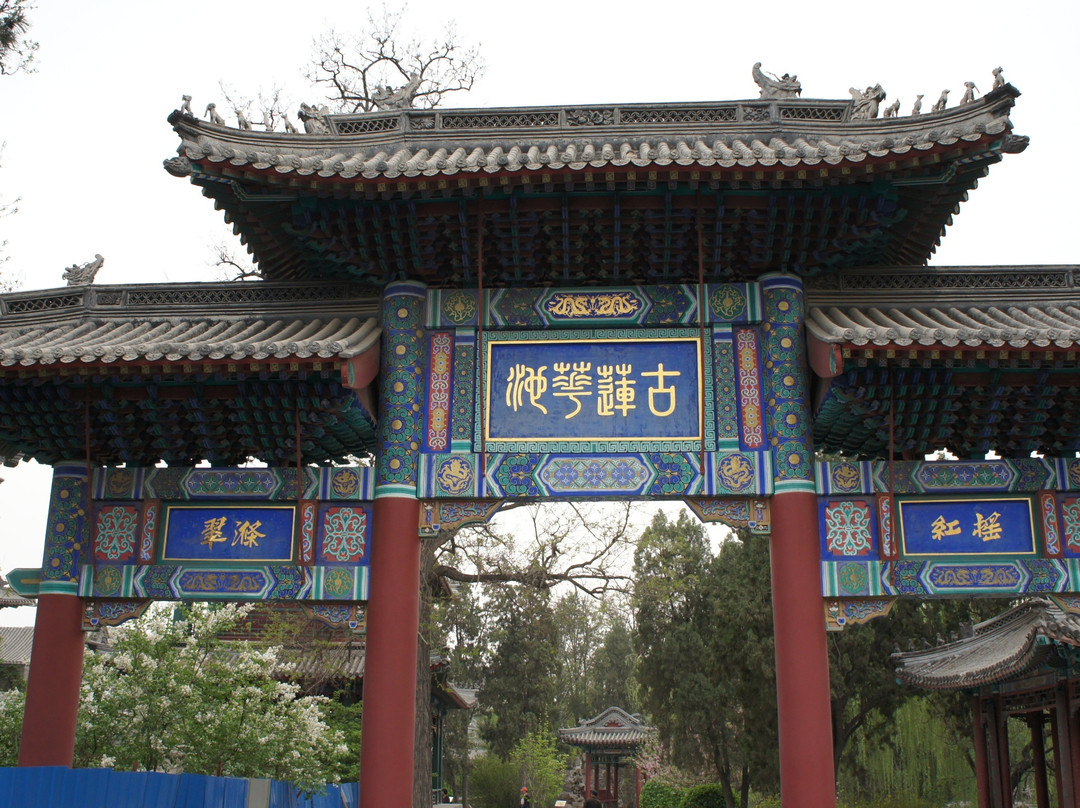 古莲花池景区-保定市必去景点