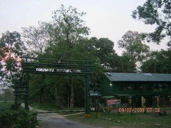 Gorumara National Park-Gorumara National Park必去景点