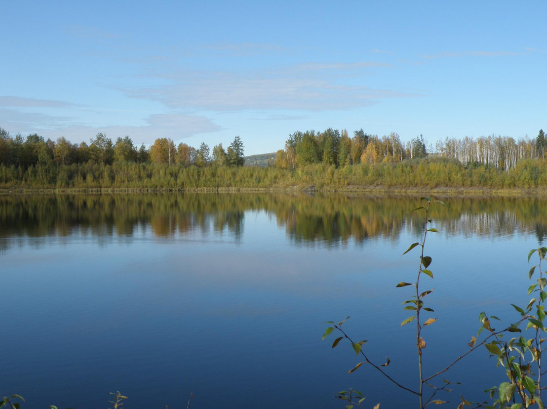 Creamer's Field Migratory Waterfowl Refuge-费尔班克斯必去景点