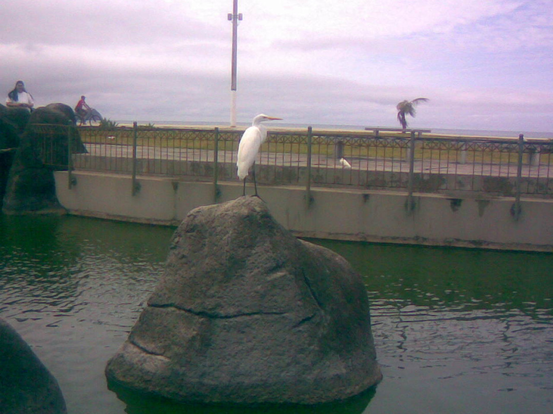 Praia do Forte-卡布弗里乌必去景点