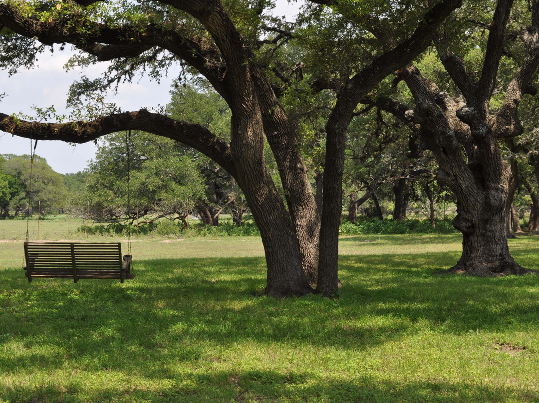 Wimberley Valley Winery-Driftwood必去景点