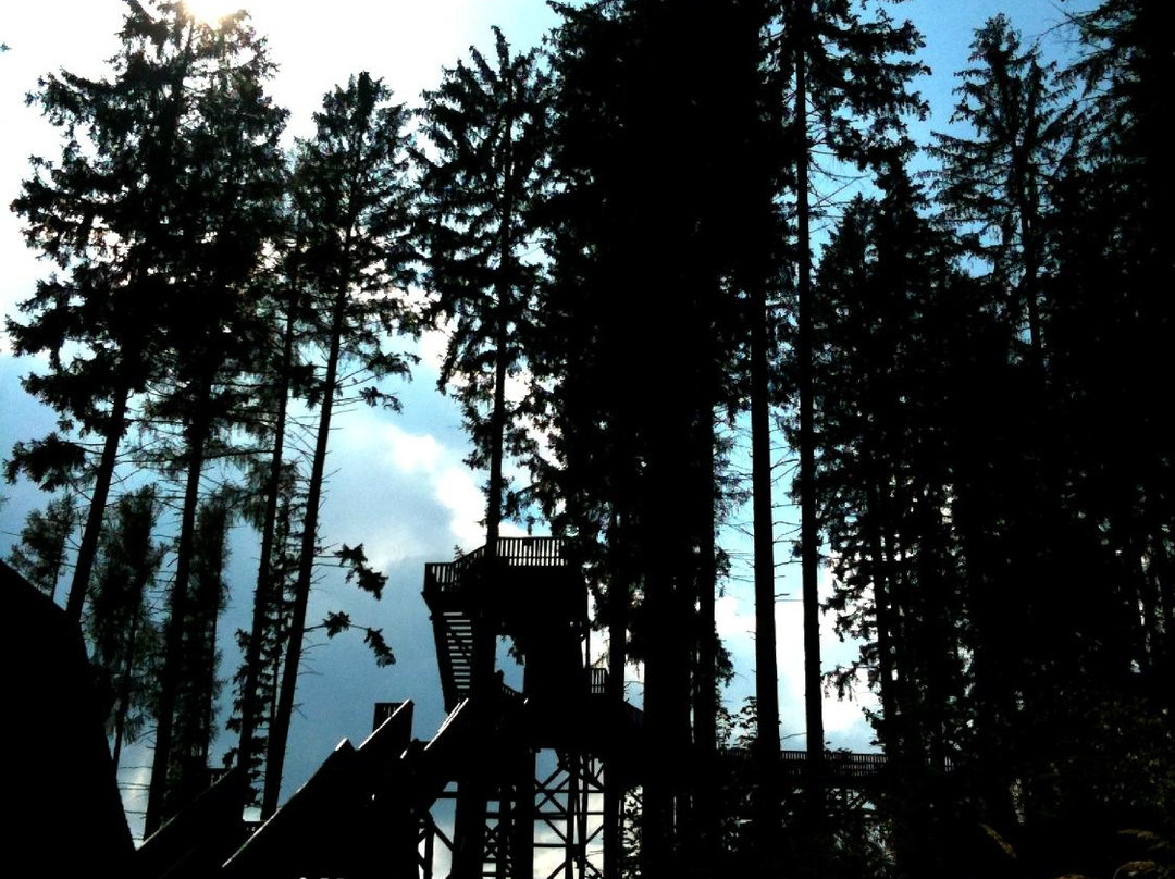 Wipfelwanderweg Rachau-Sankt Margarethen bei Knittelfeld必去景点