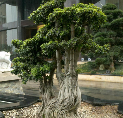 燕江国际大酒店主图