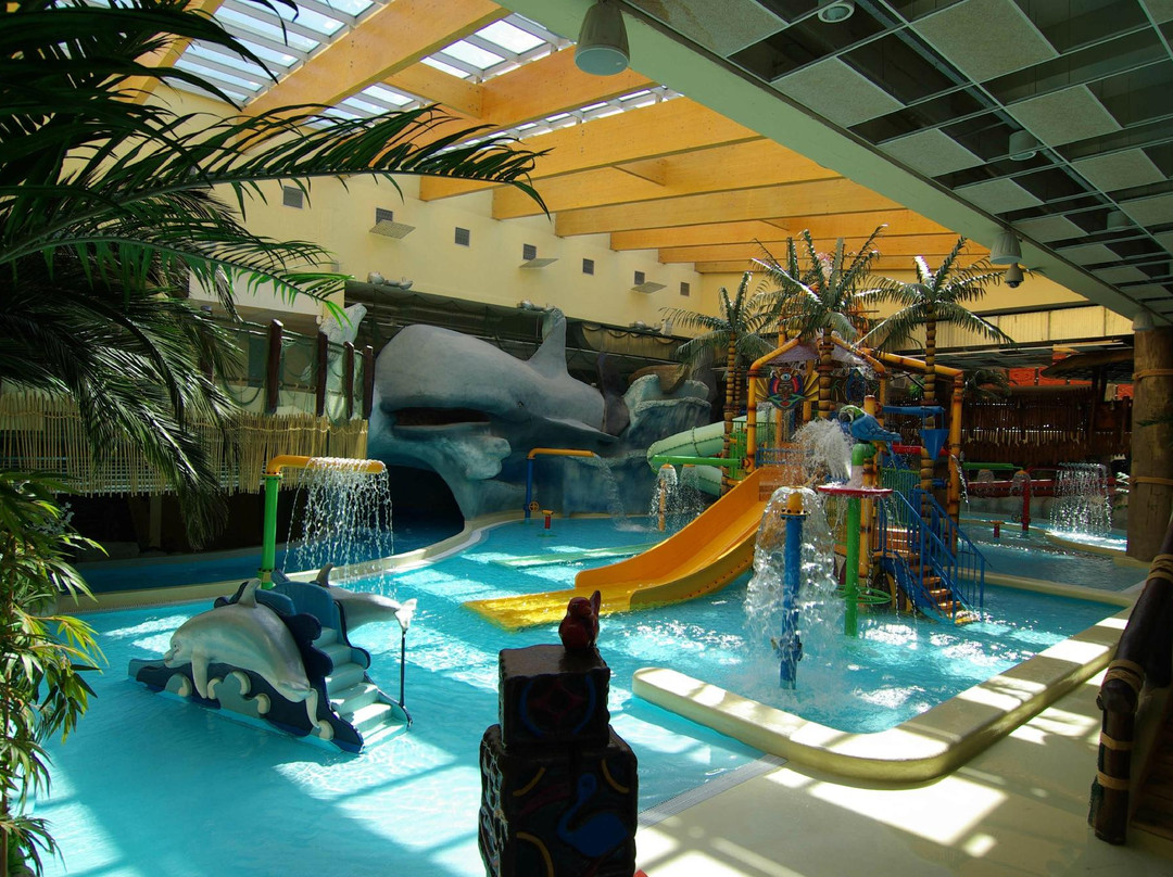 Vichy Vandens Parkas (Vichy Aqua Park)-维尔纽斯必去景点