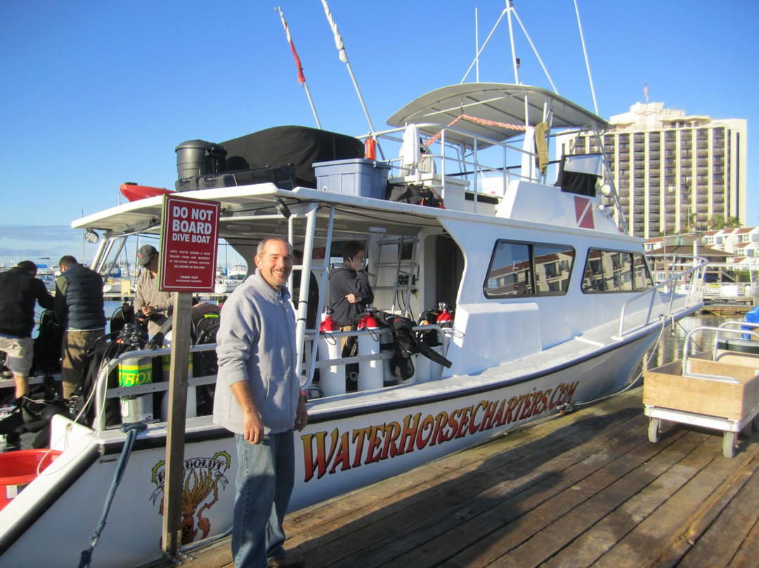 Waterhorse Charters-圣地亚哥必去景点