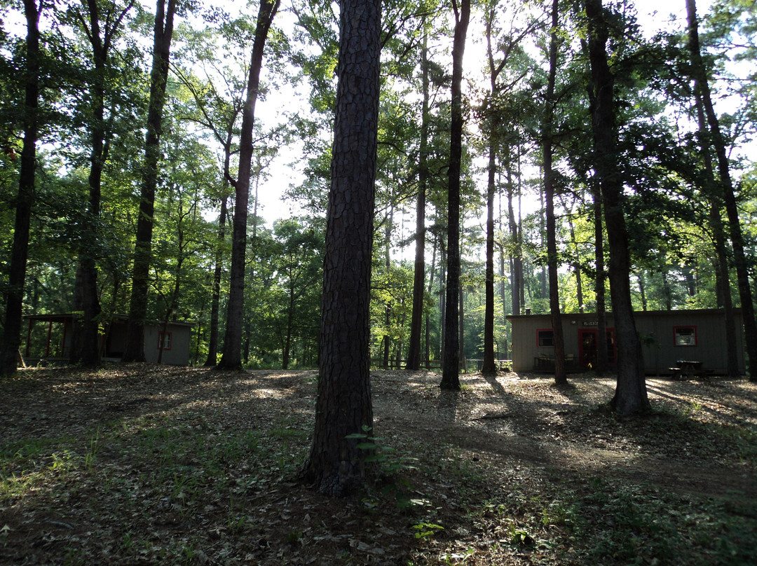 Beans Creek Ranch Cabin主图