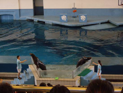 广州海洋馆-广州市必去景点