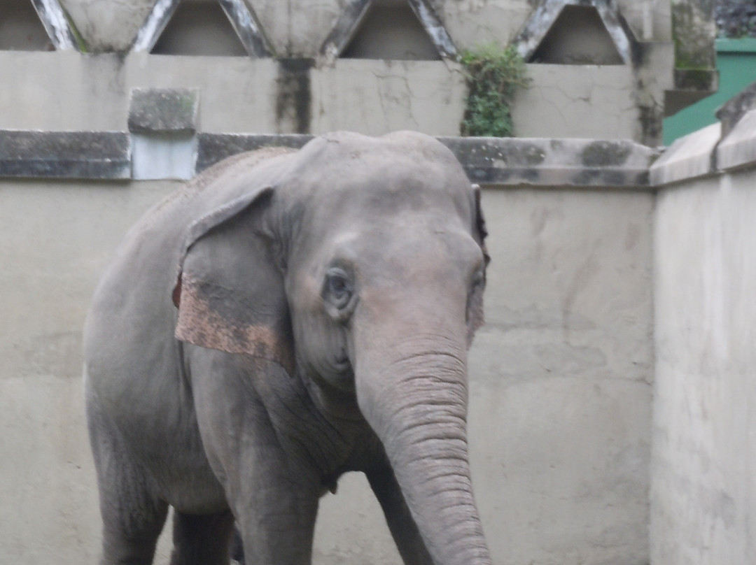 Kolkata Zoo & Zoological Garden景点图片