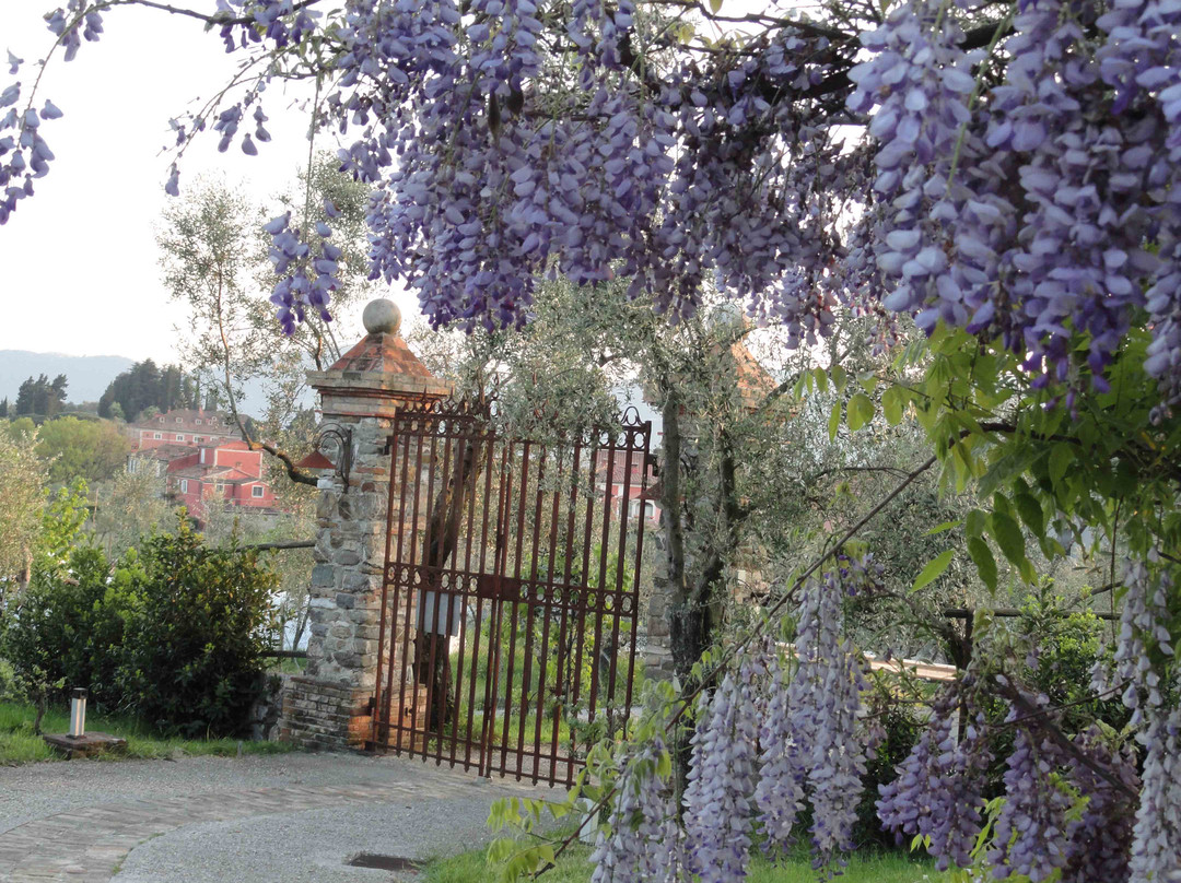 Il Giardino delle Esperidi主图