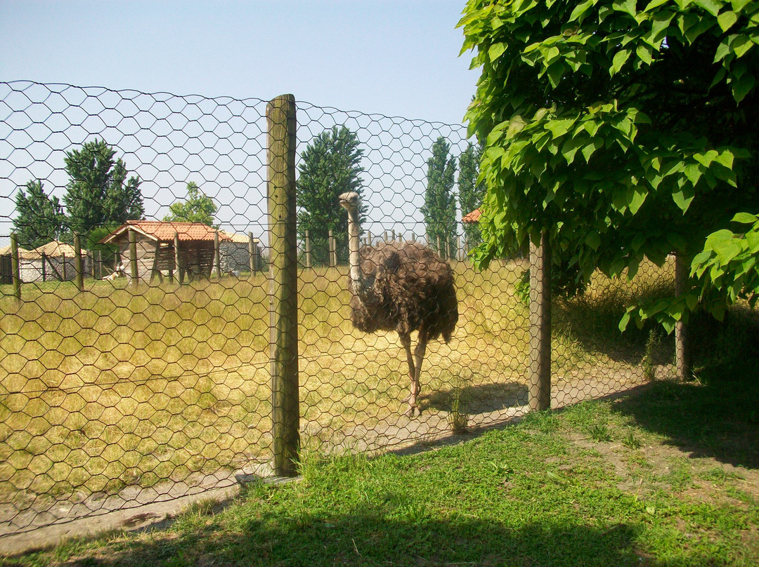 Parco Faunistico Valcorba-Pozzonovo必去景点