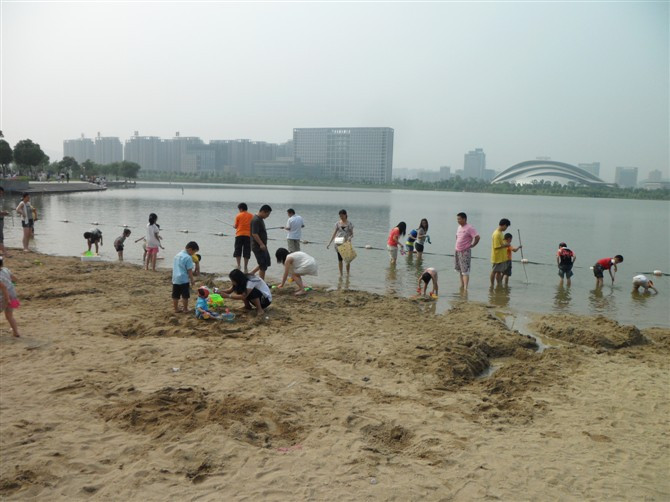 合肥天鹅湖景点图片