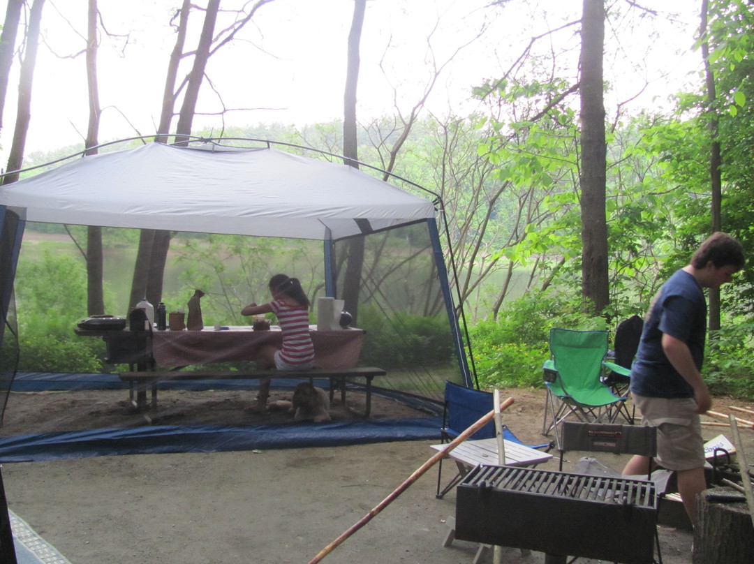 Wilgus State Park主图