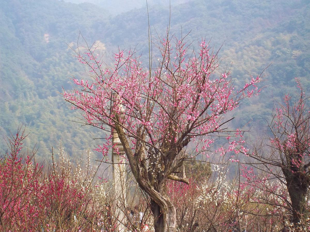 北仑九峰山-宁波市必去景点