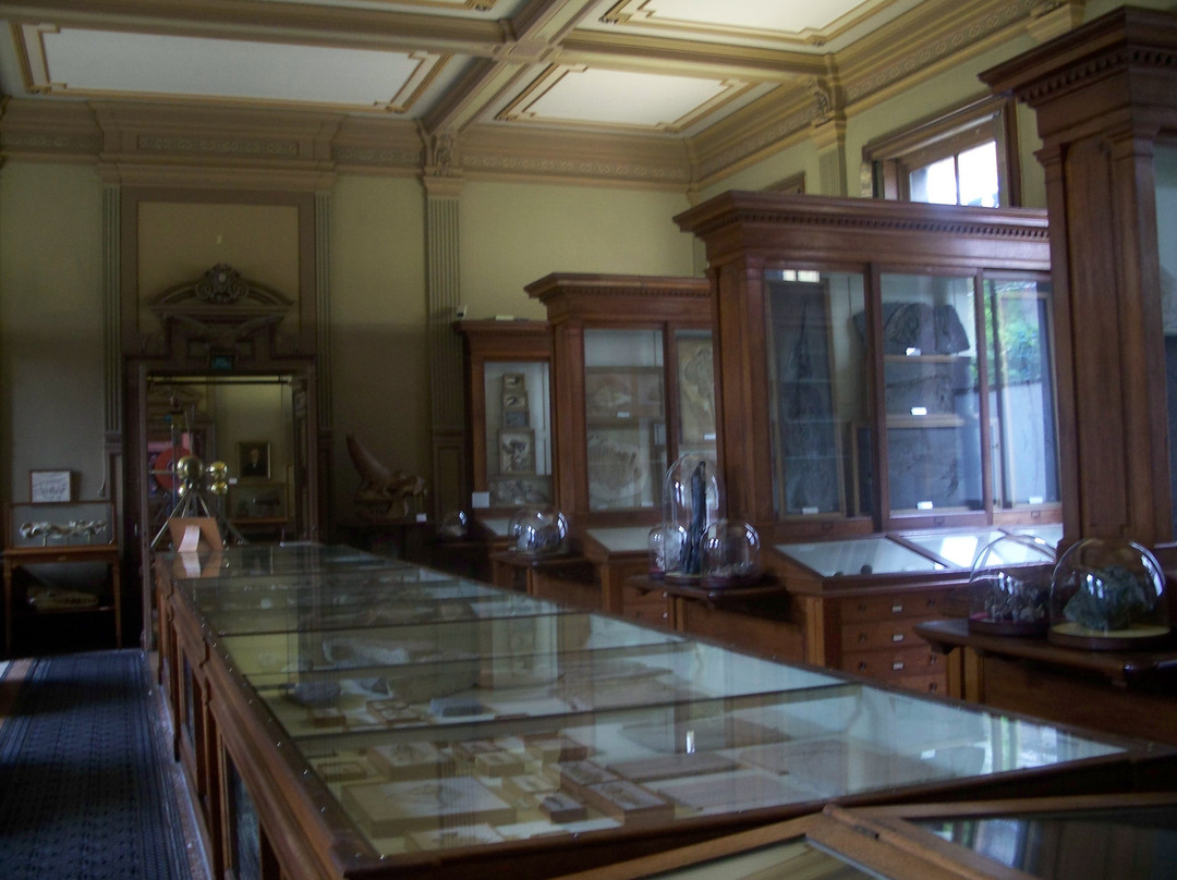Teylers Museum-哈勒姆必去景点