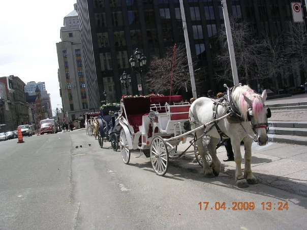 Rue Notre-Dame-蒙特利尔必去景点