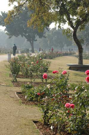 Chandigarh Rose Garden-昌迪加必去景点
