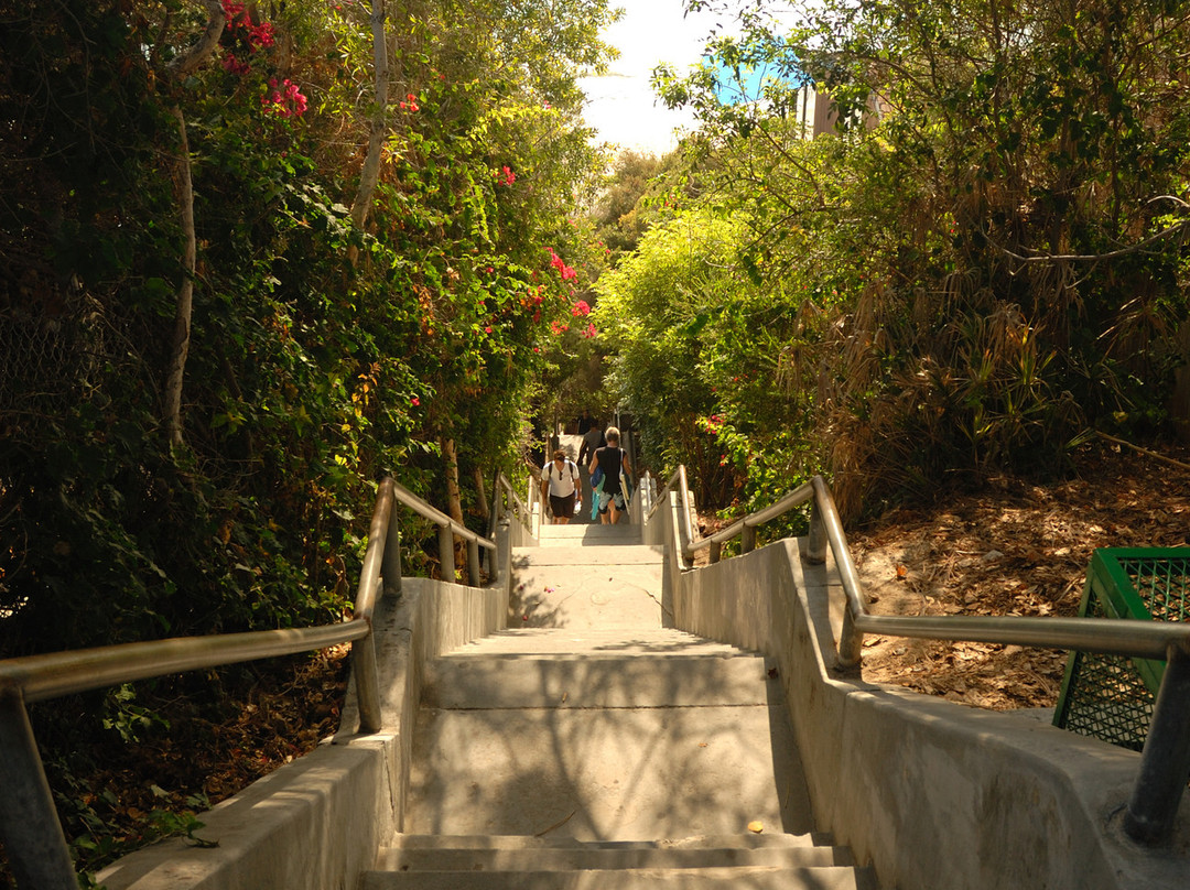 1,000 Steps Beach景点图片