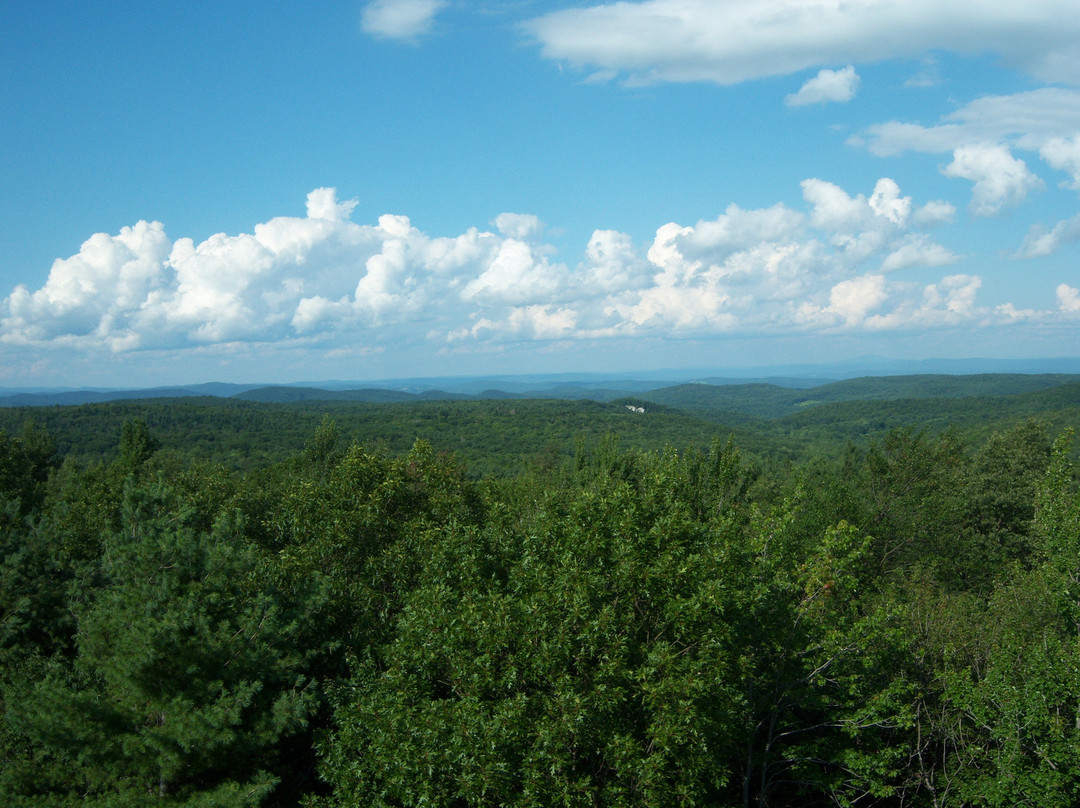 DAR State Forest景点图片