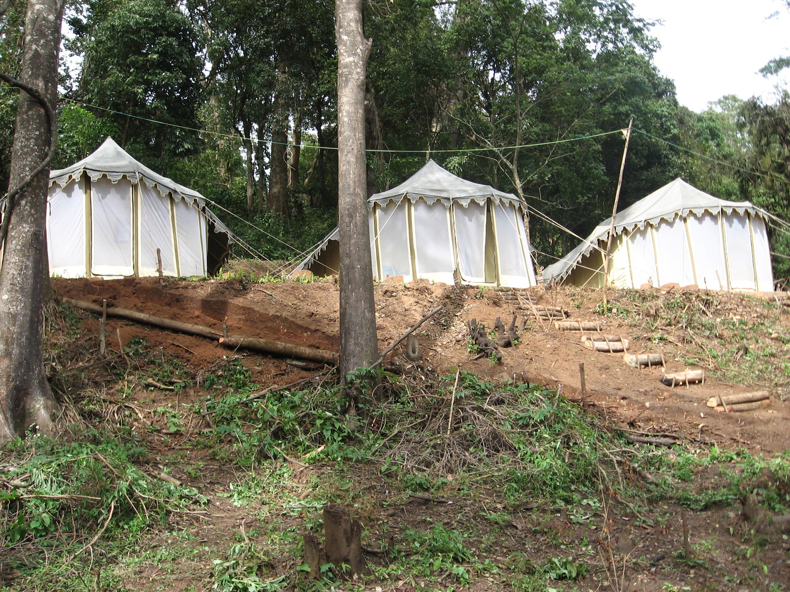 Coorg Planter's Camp-酒店景观