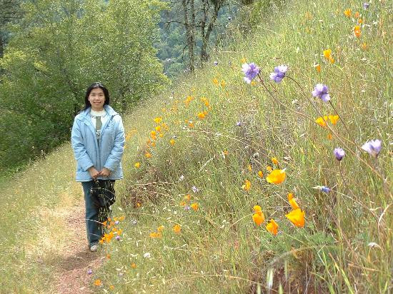 Henry W. Coe State Park-摩根希尔必去景点
