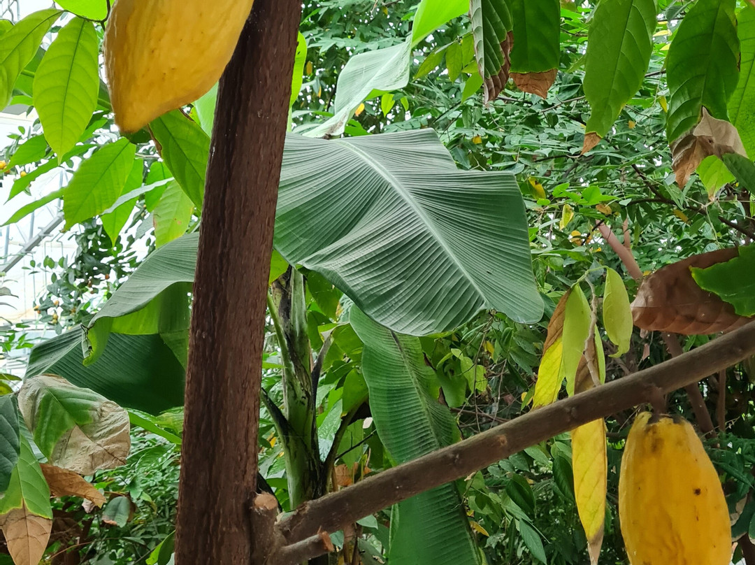 Tropenhaus Klein Eden