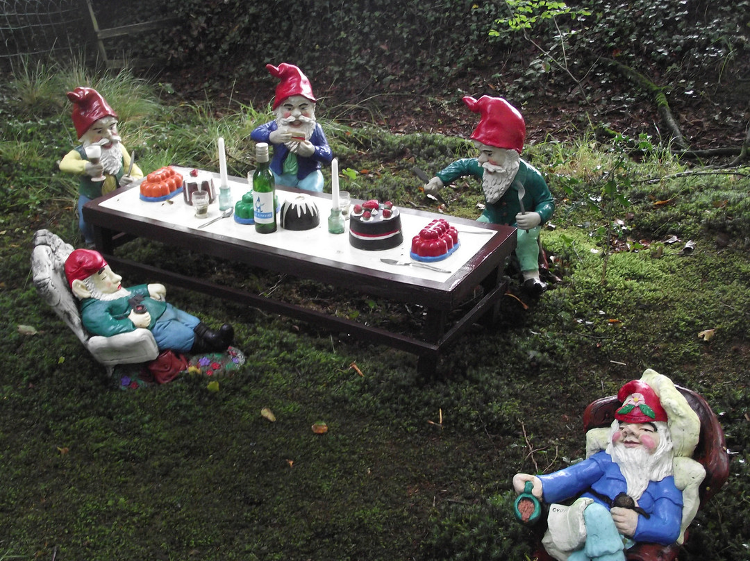 The Gnome Reserve & Wild Flower Garden景点图片