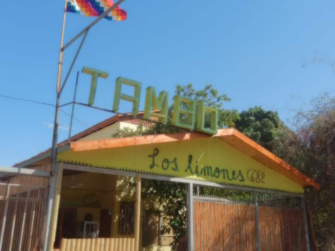 Pica餐馆和美食-Tambu Los Limones