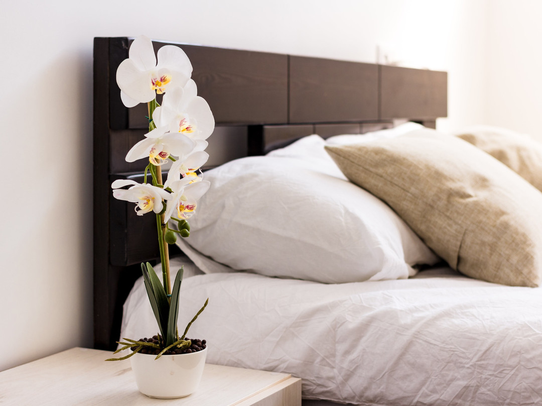 Rishon Lezion酒店住宿-Mevaser - Christian Hostel