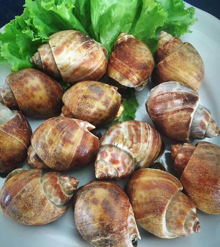 ครัวชายน้ำชายคา