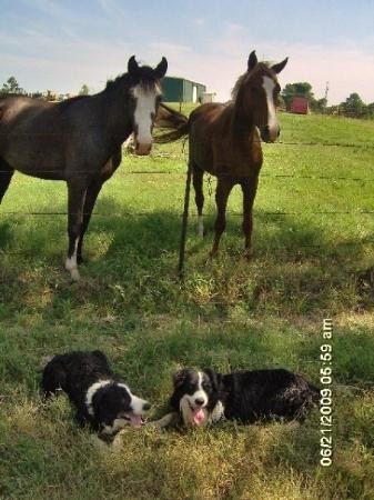 Waterford旅游攻略图片