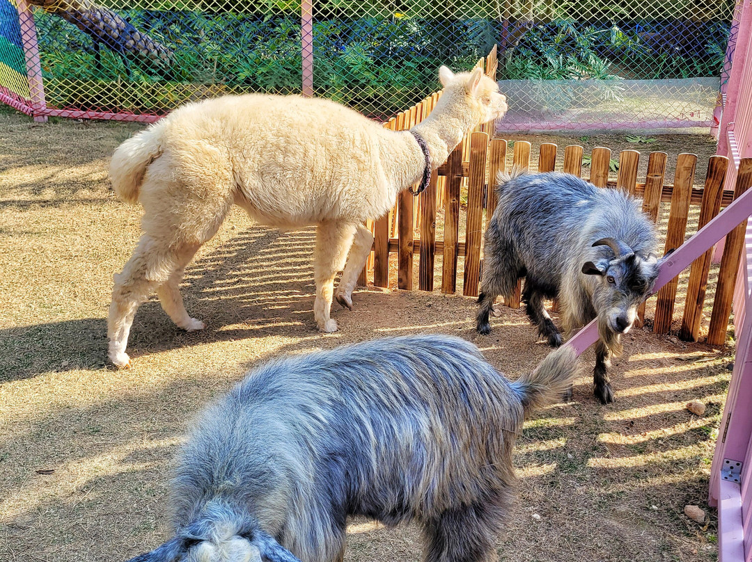 深圳金沙湾佳兆业万豪酒店主图