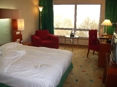 皇家大饭店主图